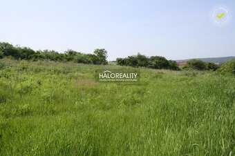 HALO reality - Predaj, orná pôda   17566 m2 Rozhanovce - 6