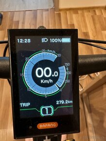 Dema Ergo Ebike - 6