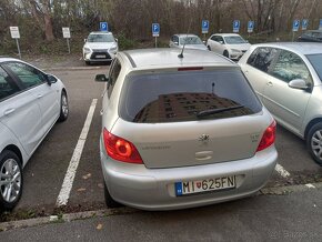 Peugeot 307 - 6