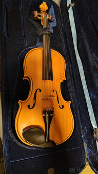 Viola 42 - 6