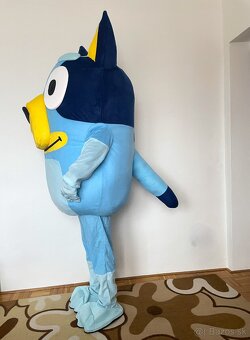 Maskot/kostým pes Bluey - 6