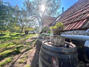 Exkluzívne na predaj Ľoch – viničný domček – Levice/Horné De - 6