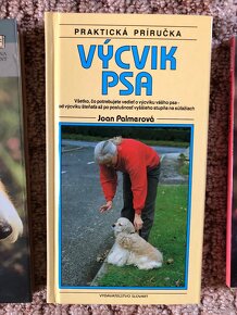 Pes , vycvik psov, plemena , vychova, foxterier - 6