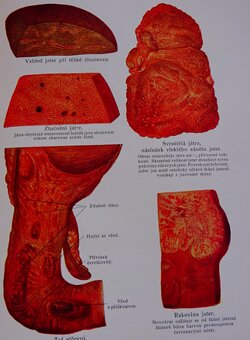 Domácí lékařka I.-II., vydané v roku 1923 - 6