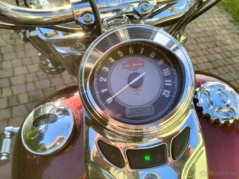 Harley Davidson Heritage  Softail - 6