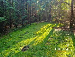 CREDA | predaj chatka so súpisným číslom, pozemok 10 626 M2, - 6