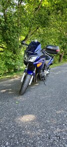 Honda Cbf 600 S - 6