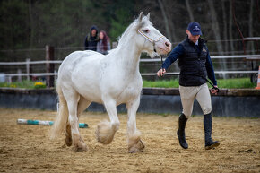 Tradičný Irish cob - 6