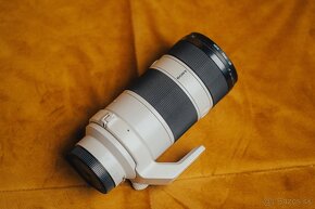 Sony FE 70-200mm f/4 G OSS - 6