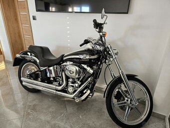 HARLAY DAVIDSON softail 100th - 6