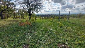 Pozemok o výmere 1333 m2 v Leviciach - Dolné Staré Levice - 6