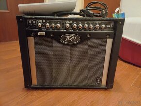 Peavey envoy 110 - 6