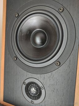 Trenner & Friedl Art high end speakers,new - 6