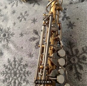 Saxophone Bundy Alto - 6