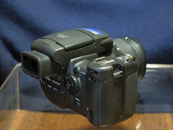 SONY DSC R1 - 6