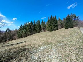 Predaj: Krásny rekreačný pozemok 2700 m2 v Terchovej (MO) - 6