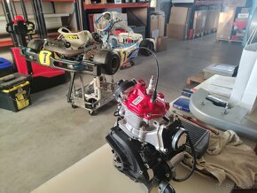 Motokára Tony Kart F.Alonso 125 Senior MAX EVO Rotax - 6