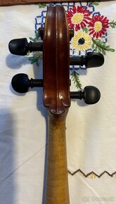 Viola - 6