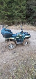 Yamaha Grizzly 700 - 6