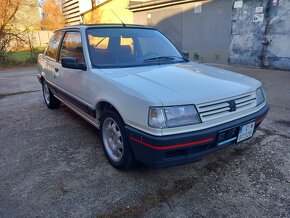 Peugeot 309 gti - 6