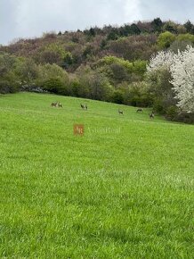 Rekreačný pozemok vo vyhľadávanej obci Zbora- 2.399m2 - 6