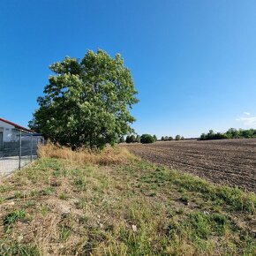 Predaj slnečného investičného pozemku 20000m2 okolie Šamorín - 6