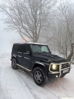 Mercedes Benz G400cdi 2003 W463 - 6