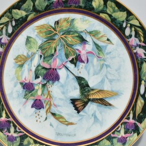 Royal Doulton Anglické porcelánové taniere - Kolibríky - 6