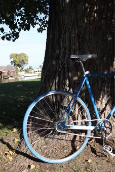 Mestský bicykel – unikátny ručne zostavený model - 6