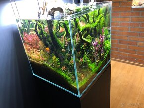 Dizajnové aquascapingové akvárium 125l - 6