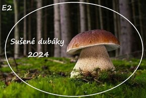 Sušené dubáky, sušené hríby 2024 - 6