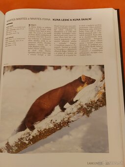 POĽOVNÍCTVO,  myslivosť,  poľovné psy- encyklopédie-ako nová - 6