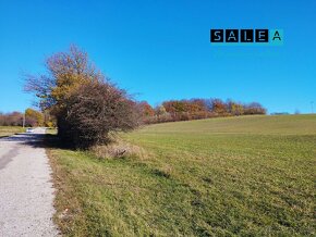 Krásny pozemok v obci Chvojnica časť - Hate o výmere 3845m2 - 6