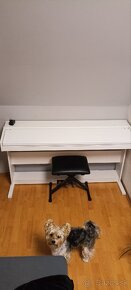 Piano - klavír Alesis Virtue AHP-1 - 6