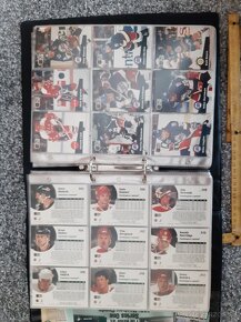 HOKEJOVÝ ALBUM NHL 1991 - 6