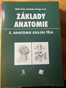 Základy anatómie - 6