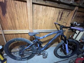 Ctm scrool 2019 (single speed+barspin ready) - 6