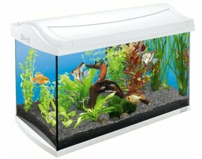 Tetra AquaArt LED akváriový set 60 l - 6