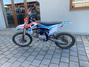 Pitbike Dorado dt155 - 6