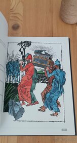 Biblia s ilustráciami Vincenta Hložníka - 7