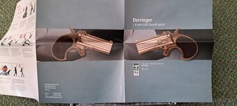 Derringer Marushin - 7