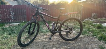 Horský bicykel OLPRAN XC Monster 29“ r - 7