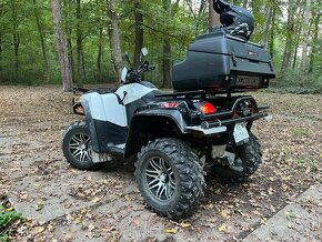 Arctic Cat XT 1000 4x4 - 7