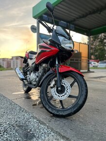 Honda CBF 125 - 7