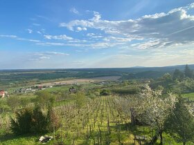 Chaty s viničom v Sátoraljaújhely pri Slovenskom Novom Meste - 7