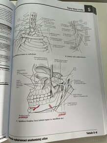 Netterov vyfarbovací anatomický atlas - 7