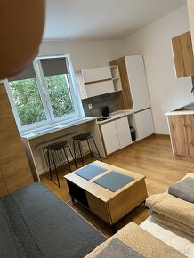 Krátkodobý Prenájom Apartmán v BB - 7