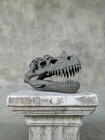 Replika lebky dinosaura Ceratosaurus Múzejná kvalita, 20cm - 7