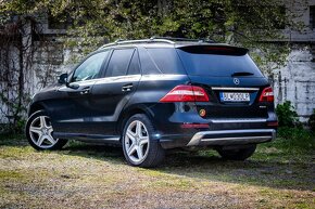 Mercedes-Benz ML 350 BLUETEC 4MATIC - 7