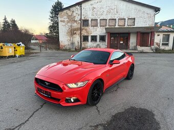 Mustang - 7